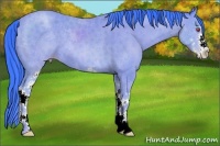 Horse Color:Watercolor Classic Champagne Chinchilla Sabino 