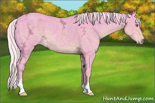 Horse Color:Watercolor Silver Black Chinchilla Ice Sabino