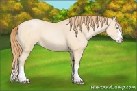 Horse Color:Buckskin Roan Pearl Splash 