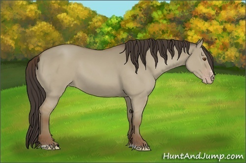 Horse Color:Classic Champagne Dun Sabino 