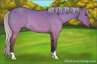 Horse Color:Silver Brown Dun 