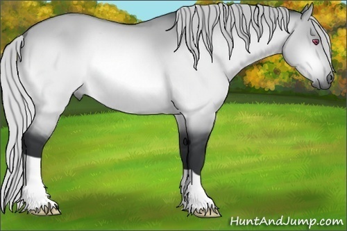 Horse Color:Silver Buckskin Chinchilla Dun 
