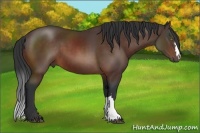 Horse Color:Brown 