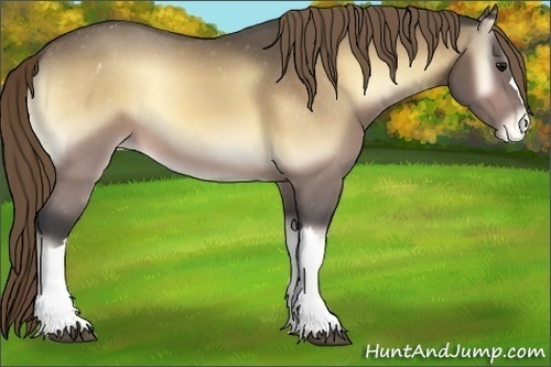 Horse Color:Buckskin Onyx Mushroom Varnish 