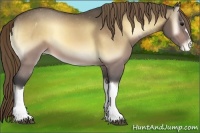 Horse Color:Buckskin Onyx Mushroom Varnish