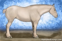 Horse Color:Chocolate Palomino Roan Pearl 