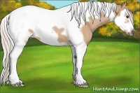 Horse Color:Silver Bay Dun Splash Tobiano Frame 