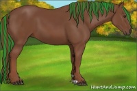 Horse Color:Painted Chestnut 