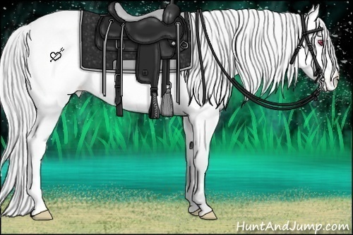 Horse Color:Buckskin Chinchilla Pearl Appaloosa Rabicano 