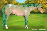 Horse Color:Watercolor Bay Appaloosa 