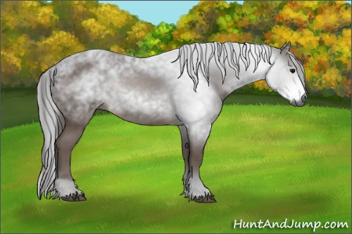 Horse Color:Gray Brown 