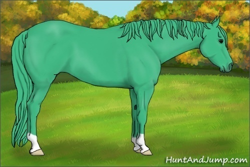 Horse Color:Watercolor Black 
