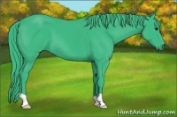 Horse Color:Watercolor Black 
