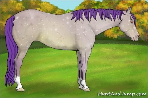 Horse Color:Watercolor Sable Champagne 