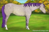Horse Color:Watercolor Sable Champagne 