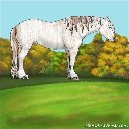 Horse Color:Buckskin Pearl Sabino and Chocolate Palomino Pearl Sabino Blanket