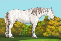 Horse Color:Buckskin Pearl Sabino  and Chocolate Palomino Pearl Sabino Blanket 
