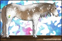 Horse Color:White Spotted Chocolate Palomino
