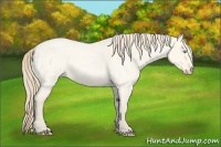 Horse Color:Perlino Roan Dun