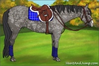 Horse Color:Grullo Ice 