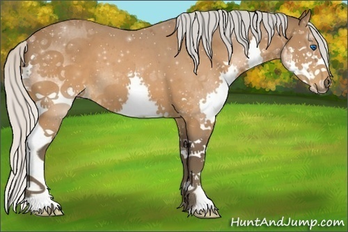 Horse Color:Silver Brown Splash 