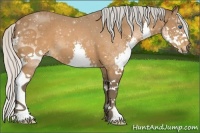 Horse Color:Silver Brown Splash 