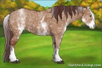 Horse Color:White Spotted Chocolate Bay Ice Dun 