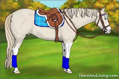 Horse Color:Smoky Creme Sabino 