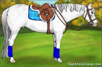 Horse Color:Black Sabino