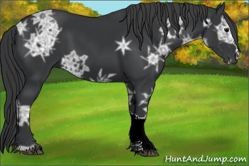 Horse Color:Black Ice 