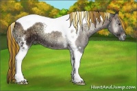 Horse Color:Painted Liver Red Onyx Ice Tobiano