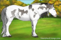 Horse Color:Grullo Splash Tobiano 