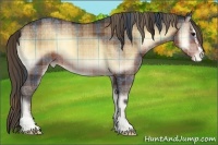 Horse Color:Plaid Brown Onyx Sabino Appaloosa