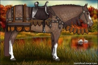 Horse Color:Chocolate Buckskin 