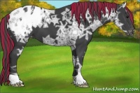 Horse Color:Painted Smoky Black Ice Appaloosa 