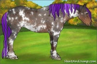 Horse Color:Painted White Spotted Liver Chestnut 