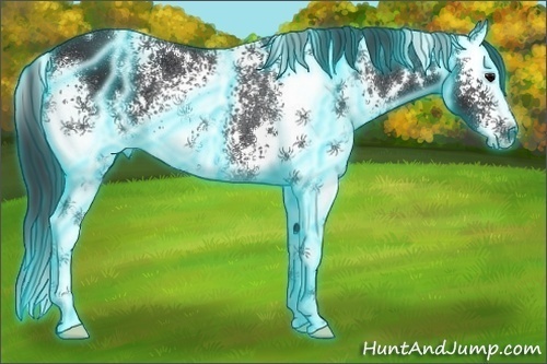 Horse Color:Thunderstruck White Spotted Black Splash Rabicano 