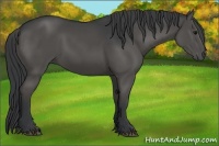 Horse Color:Grullo Rabicano 