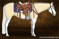 Horse Color:Gold Cream Champagne Splash 