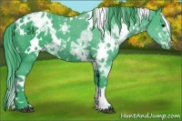 Horse Color:Watercolor White Spotted Black Ice Appaloosa 