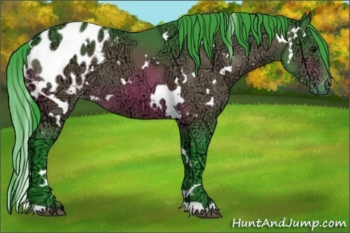 Horse Color:Watercolor White Spotted Bay Ice Appaloosa 