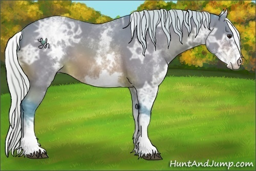 Horse Color:Watercolor White Spotted Silver Bay Ice Sabino