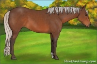 Horse Color:Silver Brown