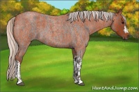 Horse Color:Silver Blue Roan and Silver Brown Roan