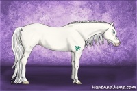 Horse Color:Silver Perlino Dun 
