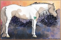 Horse Color:Chocolate Palomino Pearl Tobiano Varnish 