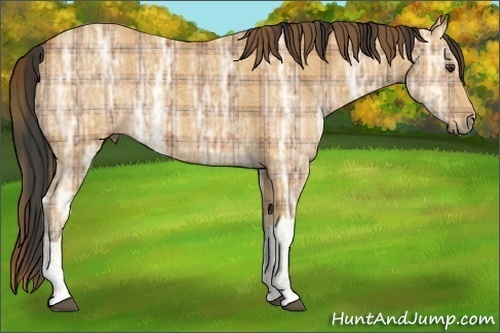 Horse Color:Plaid  Bay Ice 