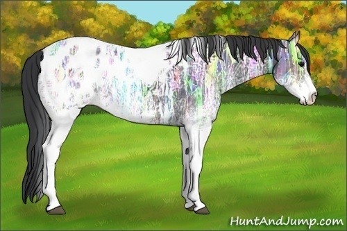 Horse Color:White Spotted Black Ice Tobiano Appaloosa Rabicano 