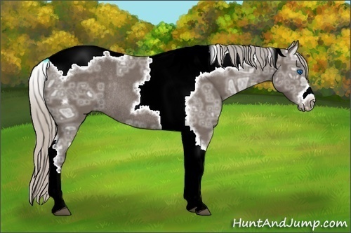 Horse Color:Silver Blue Ice Roan Tobiano Frame Rabicano