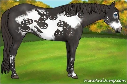 Horse Color:Liver Chestnut Frame 